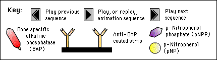 BAP Key