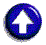 Human Genome